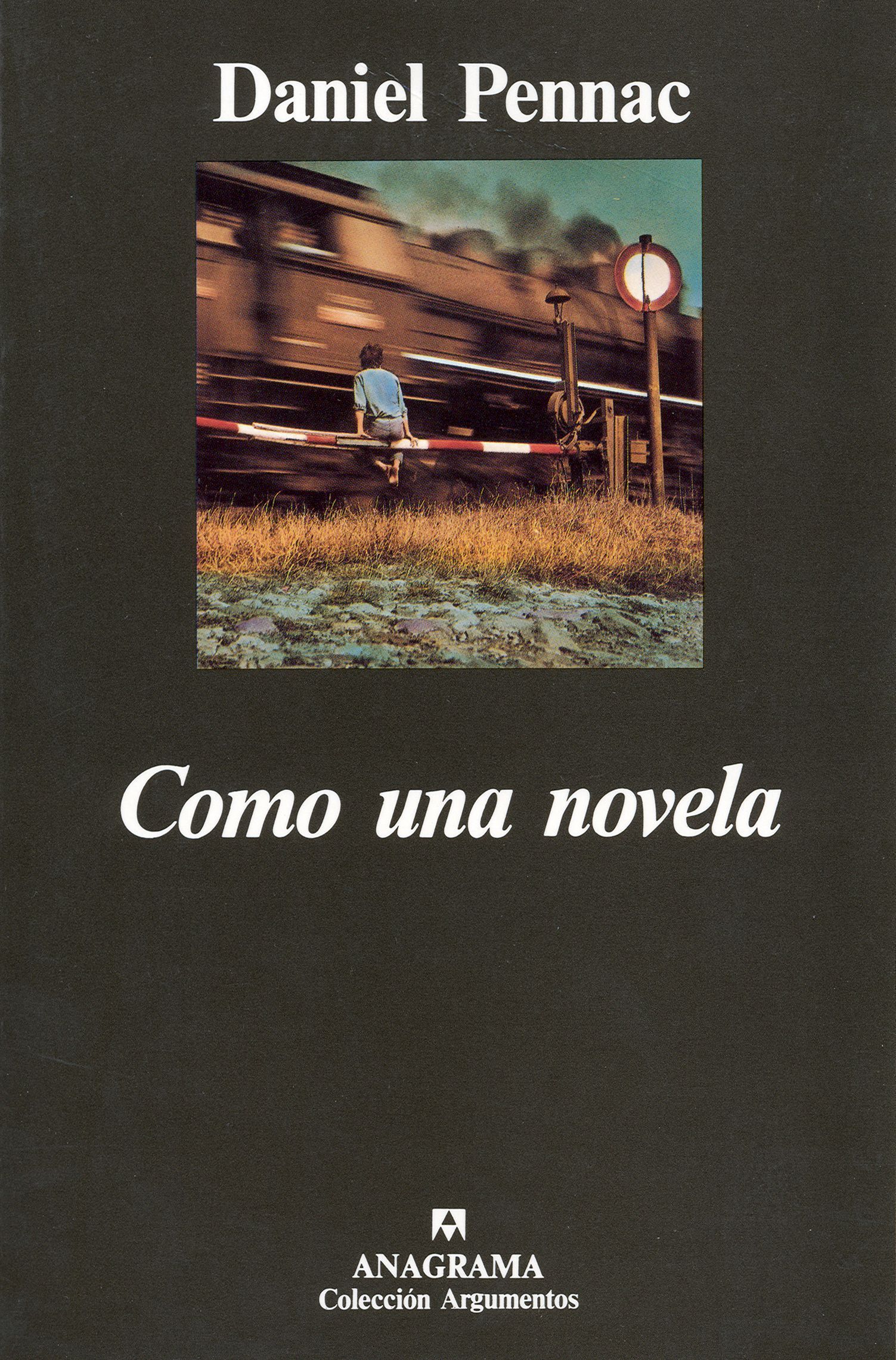 Reseña: Como una novela, de Daniel Pennac